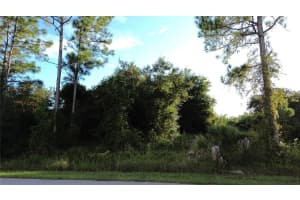 Kingsman Ave, NORTH PORT