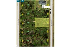 451 Fellenz St, PORT CHARLOTTE