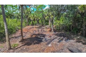 409 Cheshire St, PORT CHARLOTTE