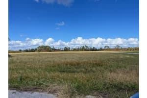 14401 Sheepshead Dr, PLACIDA