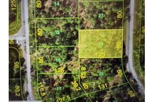1125 Border St, PORT CHARLOTTE