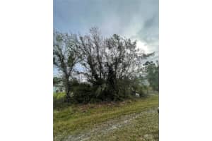 150 Chickering St, PORT CHARLOTTE