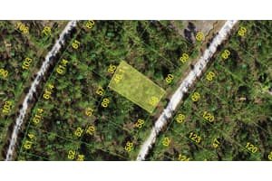 12253 Escuela Dr, PUNTA GORDA