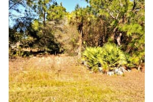 Tasco Lot #10 Dr, NORTH PORT Tasco Lot #10 Dr, NORTH PORT