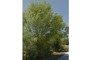 23509 Branch Ave, PUNTA GORDA 23509 Branch Ave, PUNTA GORDA