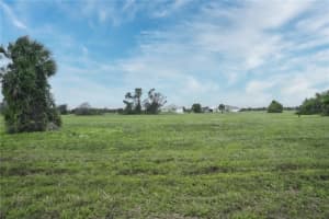 1 Cockatiel Way, PLACIDA