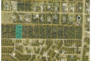 Kamsler Ave, NORTH PORT