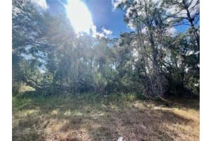 Lot 8 Abbeville Rd, NORTH PORT