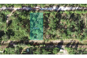 0 Indian Lake Dr, INDIAN LAKE ESTATES
