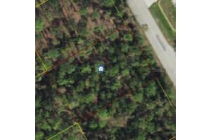 12443 Espanol Dr, PUNTA GORDA