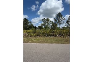 22116 Scarsdale Ave, PORT CHARLOTTE