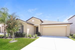 10204 Carloway Hills Dr, WIMAUMA