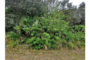 Brewster Lot #8 Rd, NORTH PORT