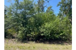 23477 Branch Ave, PORT CHARLOTTE