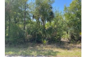 23485 Branch Ave, PORT CHARLOTTE