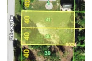 3030 Chicory Lot #40 Ter, PUNTA GORDA 3030 Chicory Lot #40 Ter, PUNTA GORDA