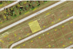 12263 Tripletail Dr, PLACIDA