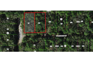 7715 & 7691 W Rainbow St, DUNNELLON