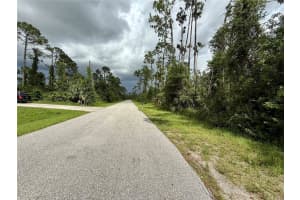 Dragonfly Ave, NORTH PORT Dragonfly Ave, NORTH PORT