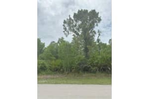 12143 Pontoon Blvd, PUNTA GORDA