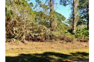 Batalla Rd, NORTH PORT