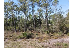 12295 Graffiti Dr, PUNTA GORDA