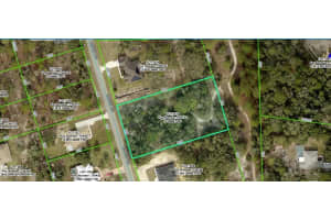 Linnet Rd, WEEKI WACHEE