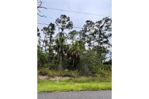 Sadnet Ln, NORTH PORT