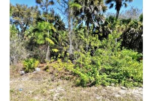 Gratlyn Ter #lot 17, NORTH PORT
