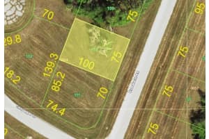 12539 Blue Marlin Rd, PLACIDA