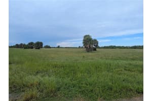 12451 Filefish Ct, PLACIDA
