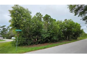 12339 Cognac Dr, PUNTA GORDA