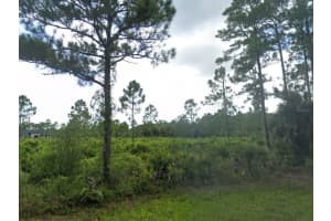 463 Reese St, PORT CHARLOTTE