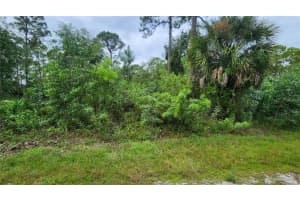 12331 Graffiti Dr, PUNTA GORDA