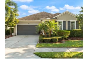 805 Molly, SARASOTA 805 Molly, SARASOTA