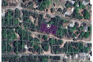 3917 E Peggy St, HERNANDO