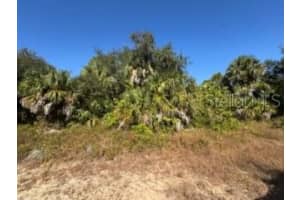 Lot 4 Mattox Cir, NORTH PORT Lot 4 Mattox Cir, NORTH PORT
