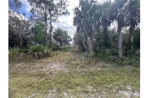 26129 Flower Rd, PUNTA GORDA 26129 Flower Rd, PUNTA GORDA