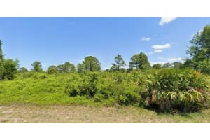 425 Long Ave S, LEHIGH ACRES