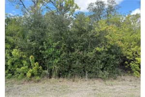 33 Cheshire St, PORT CHARLOTTE