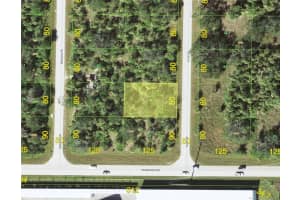 493 Leona St, PORT CHARLOTTE