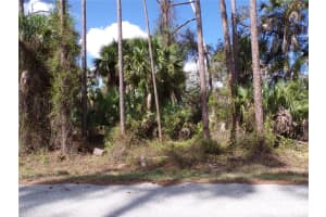 107 Mercer St, PORT CHARLOTTE 107 Mercer St, PORT CHARLOTTE