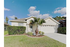 4020 Langdrum Dr, WESLEY CHAPEL