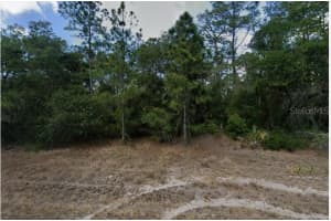 279 Juper St, PORT CHARLOTTE