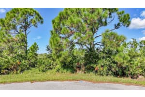 12 Dog Ct, PLACIDA