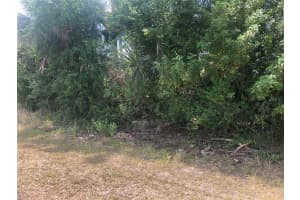 Dandurand Ave, NORTH PORT