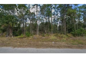 453 Conlee St, LEHIGH ACRES