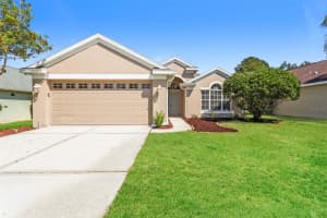 23211 Bayou Grove St, LAND O LAKES