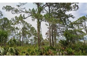 13498 Fairbanks Ave, PORT CHARLOTTE