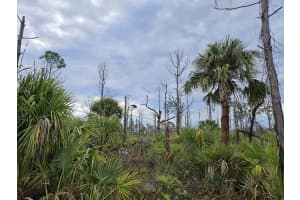 8228 Leafy Way, PORT CHARLOTTE